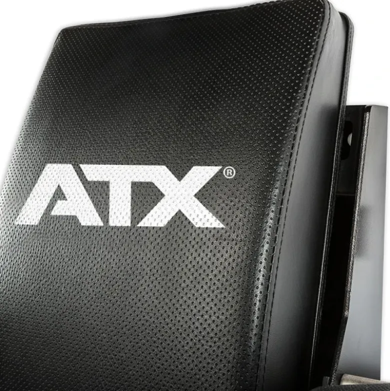 ATX Dip-Ab Combo