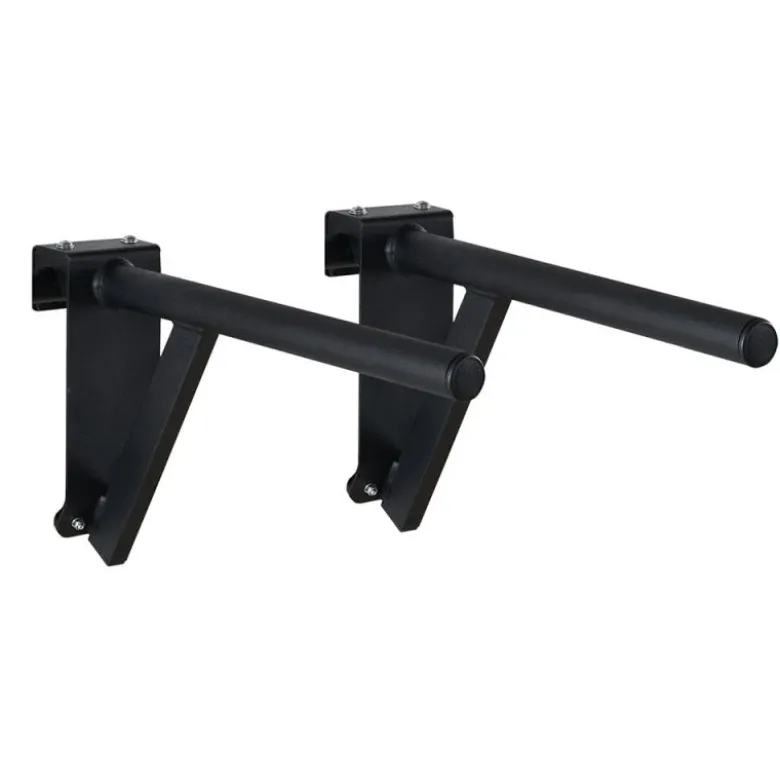 ATX Wall Bar Gym - Dip Bars