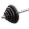 Gietijzeren Halter Set 77,5kg