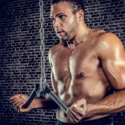 Triceps/Curl-⁠greep 50cm -⁠ Licht gebogen