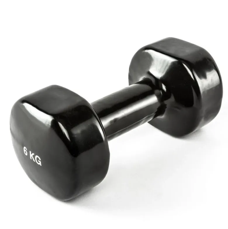 Vinyl Trainingsgewichten