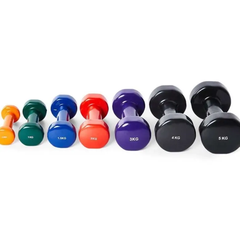 Vinyl Trainingsgewichten