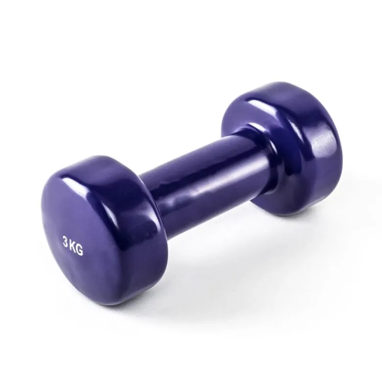 Vinyl Trainingsgewichten