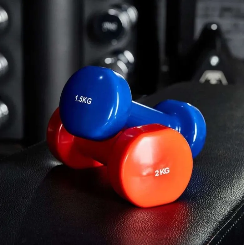 Vinyl Trainingsgewichten
